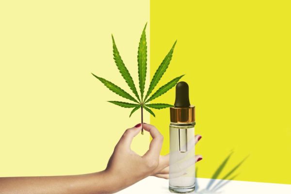 Cannabis Oil Cosmetics